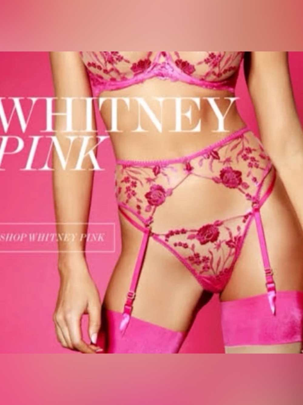 Honey Birdette Whitney Pink Garter & Stocking Set L/M NWT